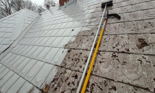 Roof Cleaning(Softwash)