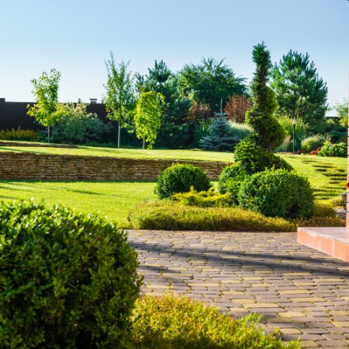 GARDEN
